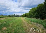 Dębówka, 2 476 500 zł, 3.81 ha, droga dojazdowa asfaltowa miniaturka 5