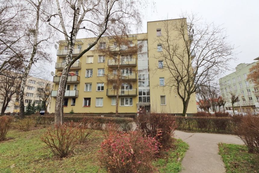 Warszawa Saska Kępa, 2 800 zł, 38 m2, pietro 1 miniaturka 11
