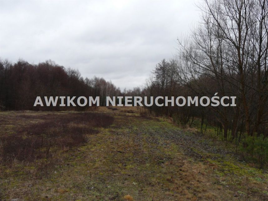 Skierniewice, 138 258 zł, 1.54 ha, rolna miniaturka 2