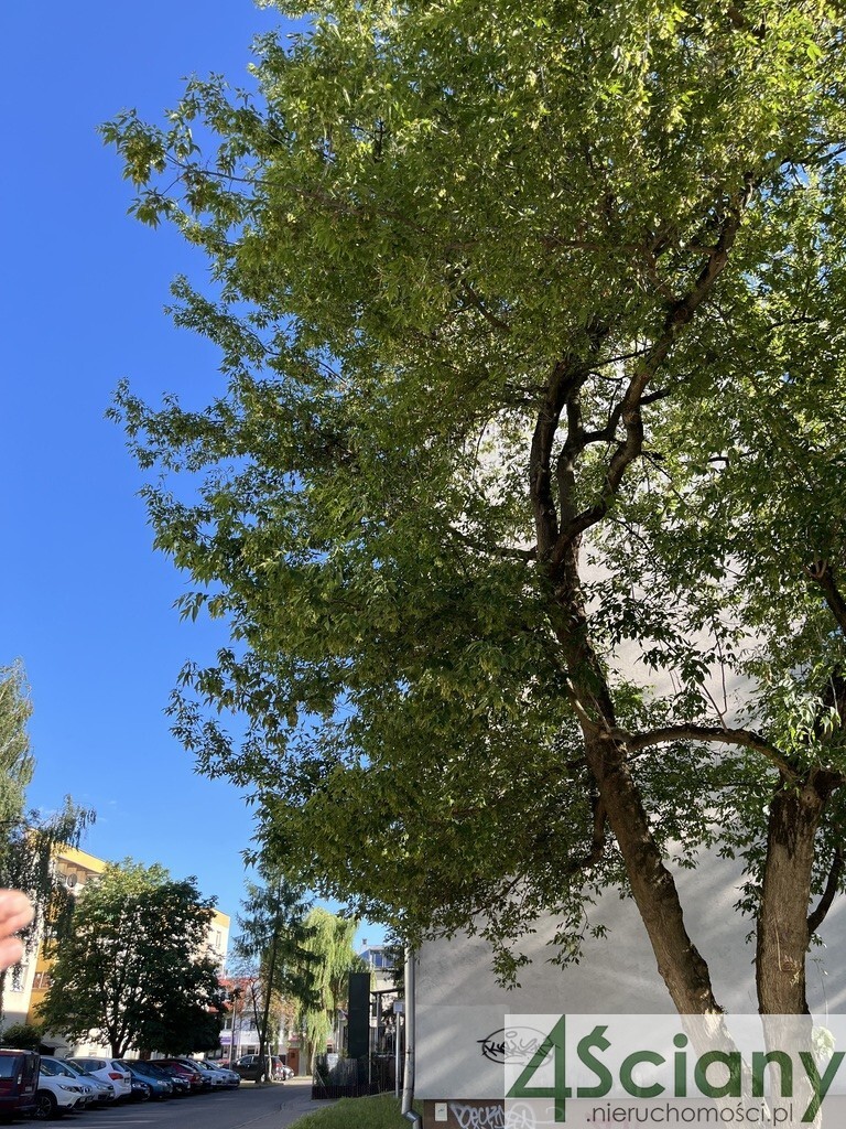 Atrakcyjny dwupak inwestycyjny w Piasecznie 44 m2 - zdjęcie 1