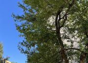 Atrakcyjny dwupak inwestycyjny w Piasecznie 44 m2 miniaturka 1