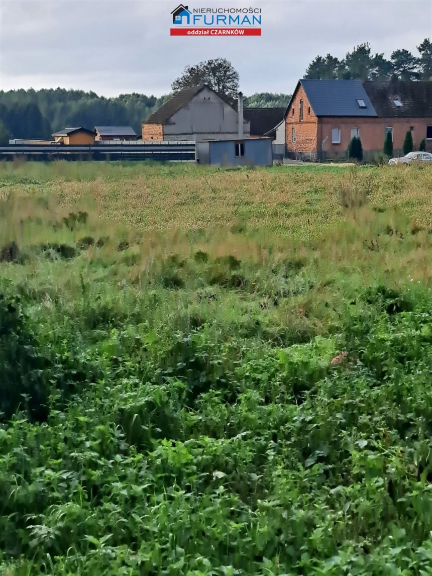 działka na sprzedaż w Zofiowie gmina Czarnków miniaturka 4