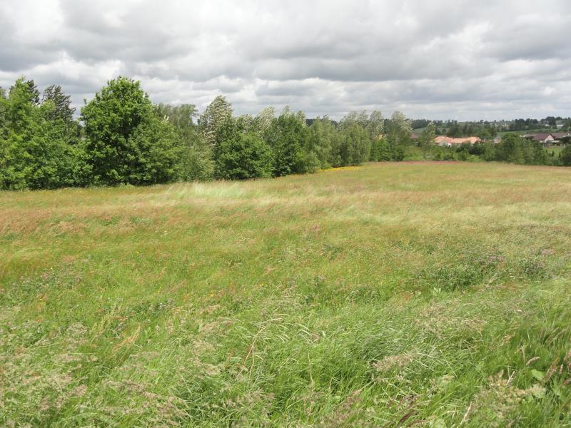 Działka budowlana - Warzno miniaturka 2