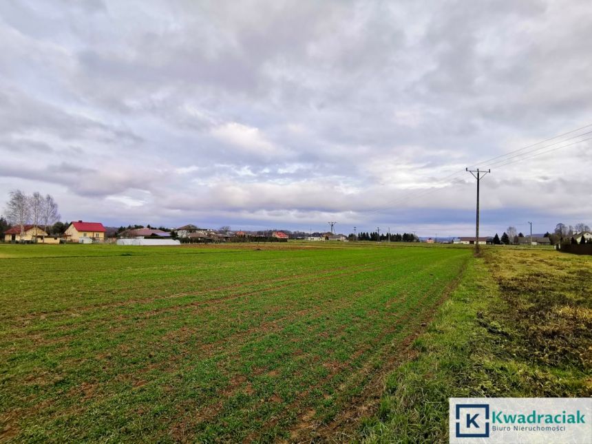 Osobnica, 115 000 zł, 46 ar, rolna miniaturka 3