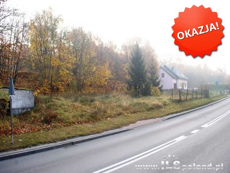 Czepino, 150 000 zł, 65.12 ar, droga dojazdowa asfaltowa - zdjęcie 1