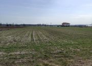 Wólka Radzymińska, 595 000 zł, 22.57 ar, budowlana miniaturka 4