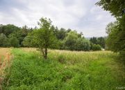 Działka przy Lesie w Gwoźdźcu 40 ar. 150 000 zł miniaturka 9