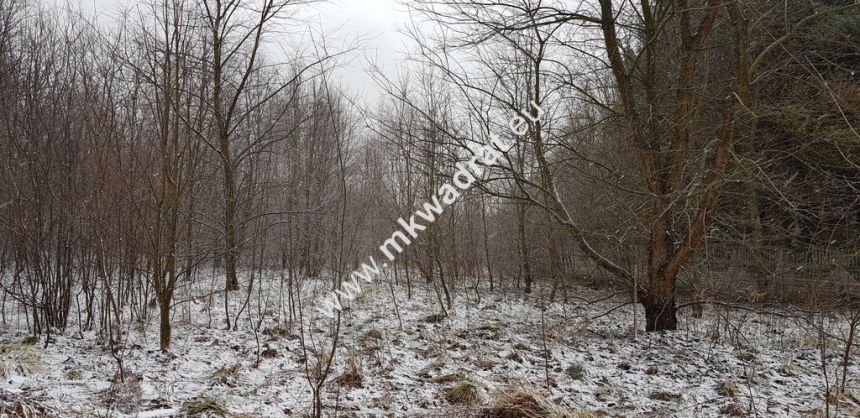 Działka z planem zagospodarowania miniaturka 6
