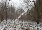 Działka z planem zagospodarowania miniaturka 6