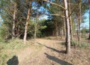 Działka 2197 m2, Niwy Daleszyckie (gm. Daleszyce) miniaturka 16