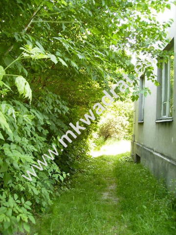 Dom z 4  mieszkaniami z ładną działką miniaturka 8