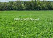 Działka budowlana w Borkowicach, blisko Obornik Ś miniaturka 1