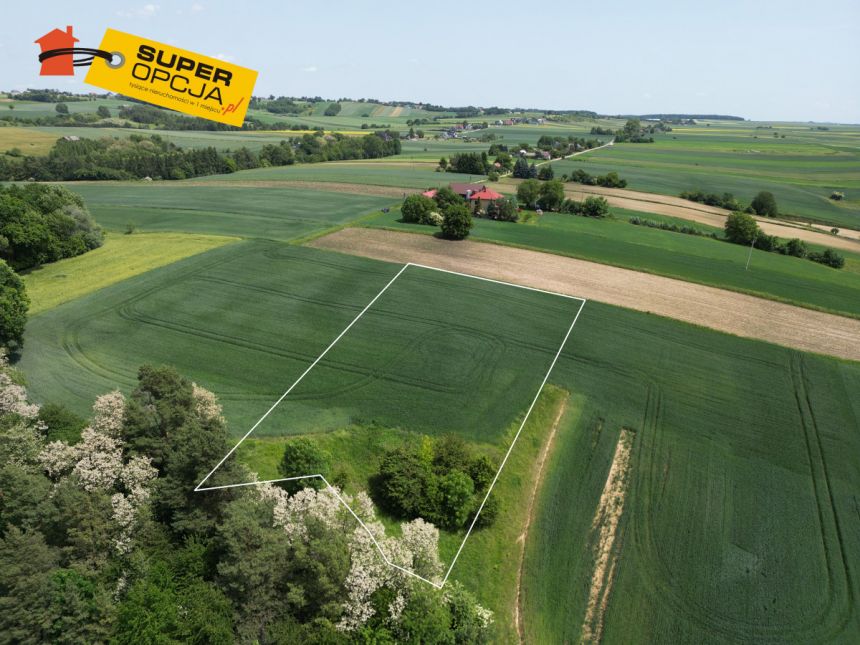 Szczepanowice, 649 000 zł, 53.3 ar, rolna miniaturka 4