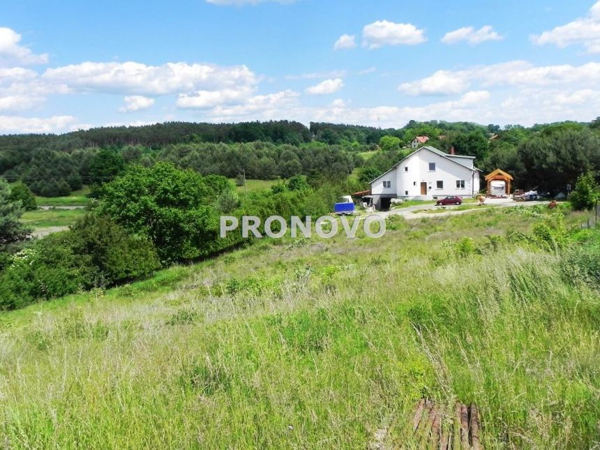 Działka budowlana Torzym miniaturka 5