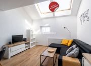 Komfortowy apartament koło Parku Bednarskiego miniaturka 1