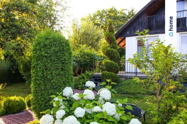 Zakopiański domek ROD wśród hortensji – Bożenkowo