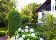 Zakopiański domek ROD wśród hortensji – Bożenkowo miniaturka 1