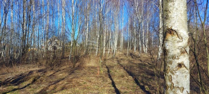 Działka budowlana z planem, Różnowo gm. Dywity miniaturka 4