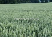 Działka budowlana w Borkowicach, blisko Obornik Ś miniaturka 3