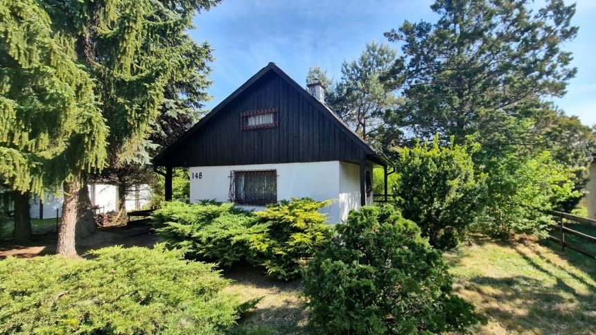 Domek na działce 375 m2 ROD "Strzeszyn" - zdjęcie 1