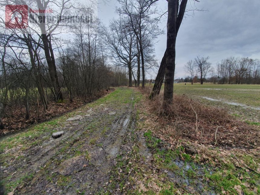 Wielkie Drogi, 160 000 zł, 30 ar, rolno-budowlana miniaturka 2