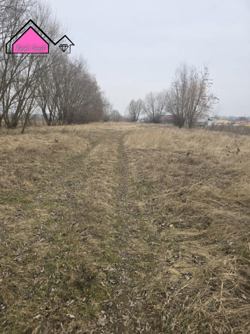 Konin Pociejewo, 315 000 zł, 81.56 ar, usługowa miniaturka 7