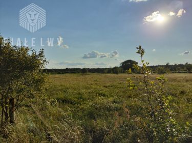 Jagodne, 75 375 zł, 30.15 ar, przyłącze prądu