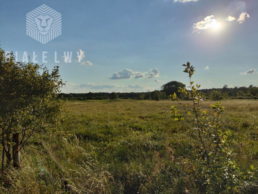 Jagodne, 75 375 zł, 30.15 ar, przyłącze prądu - zdjęcie 1