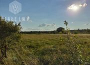 Jagodne, 75 375 zł, 30.15 ar, przyłącze prądu miniaturka 1