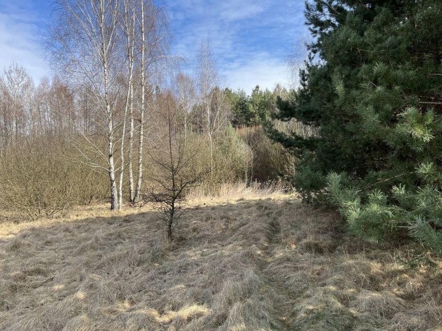 Działka o pow. 2,08 ha w m. Kawęczyn gm. Ciepielów miniaturka 4