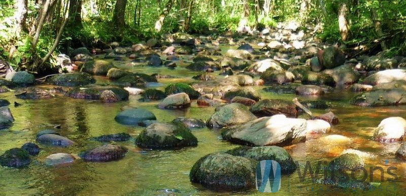 Udziejek, 650 000 zł, 5.06 ha, przyłącze prądu miniaturka 9