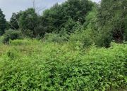 Działka o pow. 25 000 m² pod zabudowę i rekreację. miniaturka 8