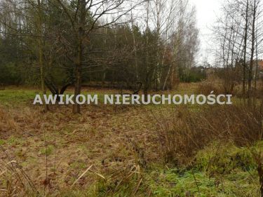 Skierniewice, 138 258 zł, 1.54 ha, droga dojazdowa asfaltowa