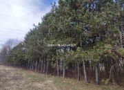 Borek Szlachecki, 585 000 zł, 54.97 m2, bliźniak miniaturka 20