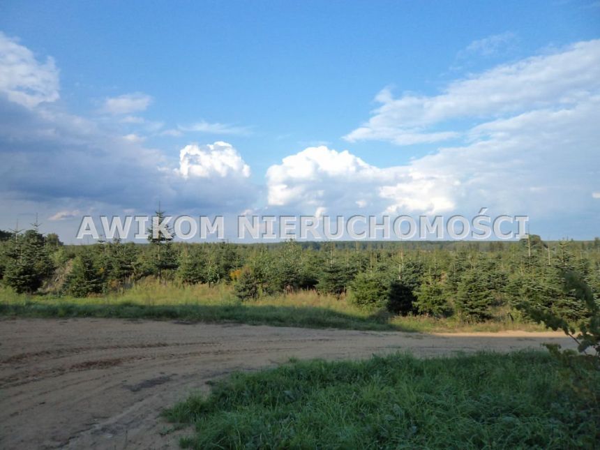 Grzegorzewice 13 900 000 zł 2463220 m2 miniaturka 2