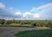 Grzegorzewice 13 900 000 zł 2463220 m2 miniaturka 2