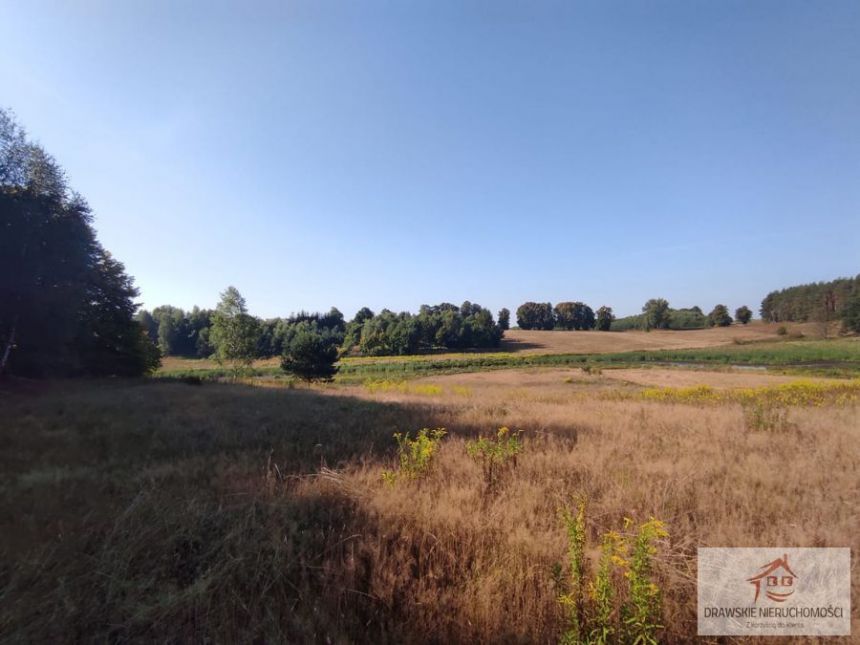 Siemczyno 275 000 zł 1.3 ha miniaturka 7