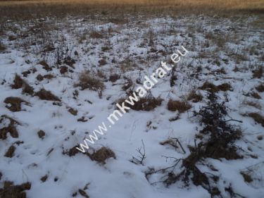 Wymysłów, 466 000 zł, 3.01 ha, prostokątna