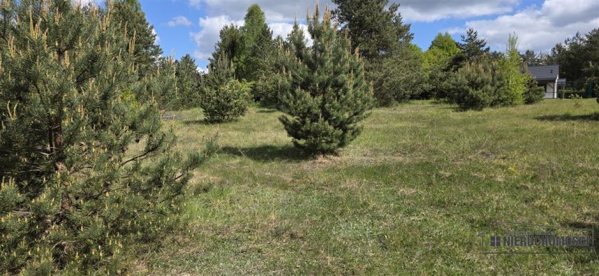 Działki budowlane w pobliżu jeziora Dołgie miniaturka 4