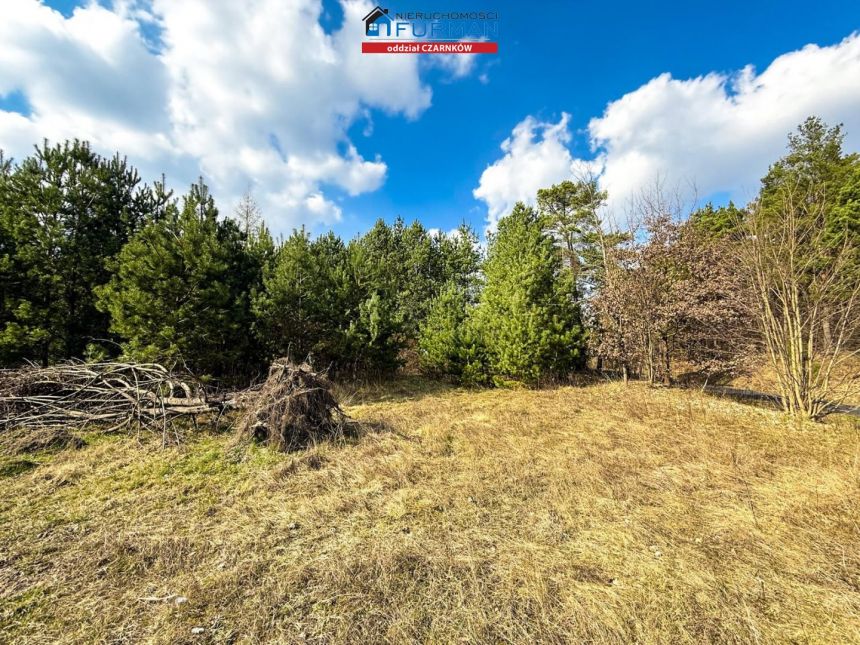 Biała, 599 000 zł, 80 m2, jednorodzinny miniaturka 13