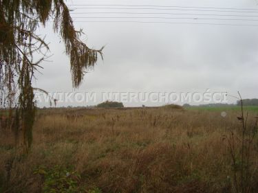 Wikcinek, 80 000 zł, 30 ar, woda w drodze