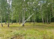 Działka Budy Grzybek 3000 m2 miniaturka 3