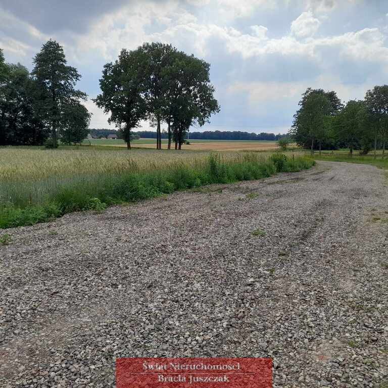 Działka budowlana 11340m2 w Ligocie Polskiej. miniaturka 8