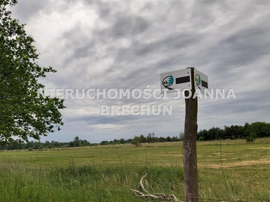 Golędzinów, 316 000 zł, 21.08 ar, rekreacyjna - zdjęcie 1