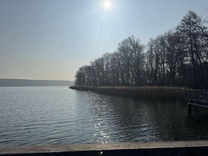 Chyby, gm. Tarnowo Podg.Poznański , rezydencja miniaturka 3