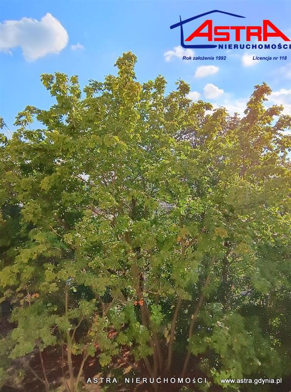 Mieszkanie - Gdynia Redłowo miniaturka 9