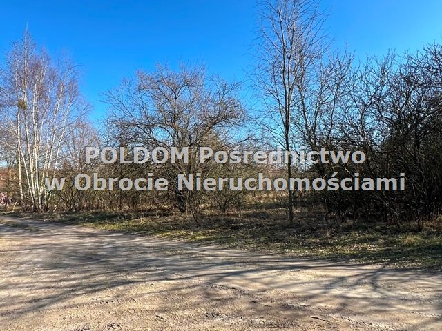 Super Działka Budowlana/ Bagno, k. Obornik Śl. miniaturka 4