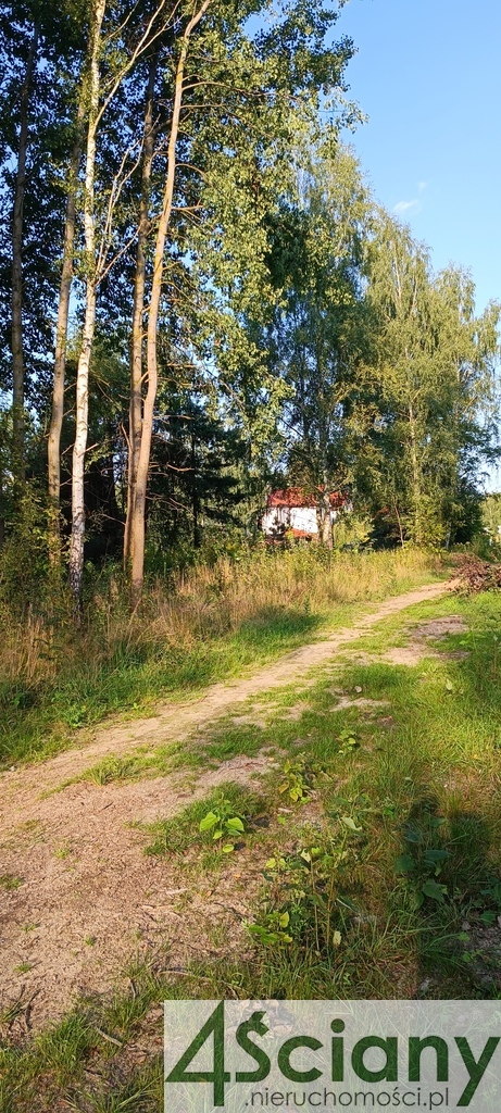 Czarny Las, piekna dzialka miniaturka 5