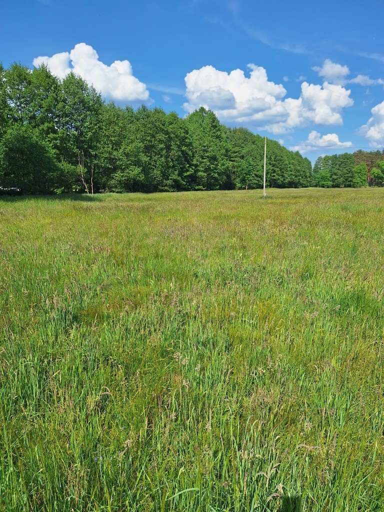 Działka Tanowo,0.3144ha,plan zagospod.-rolna. miniaturka 4