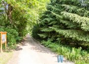 Grzegorzewice, 369 000 zł, 22 ar, droga dojazdowa utwardzona miniaturka 8